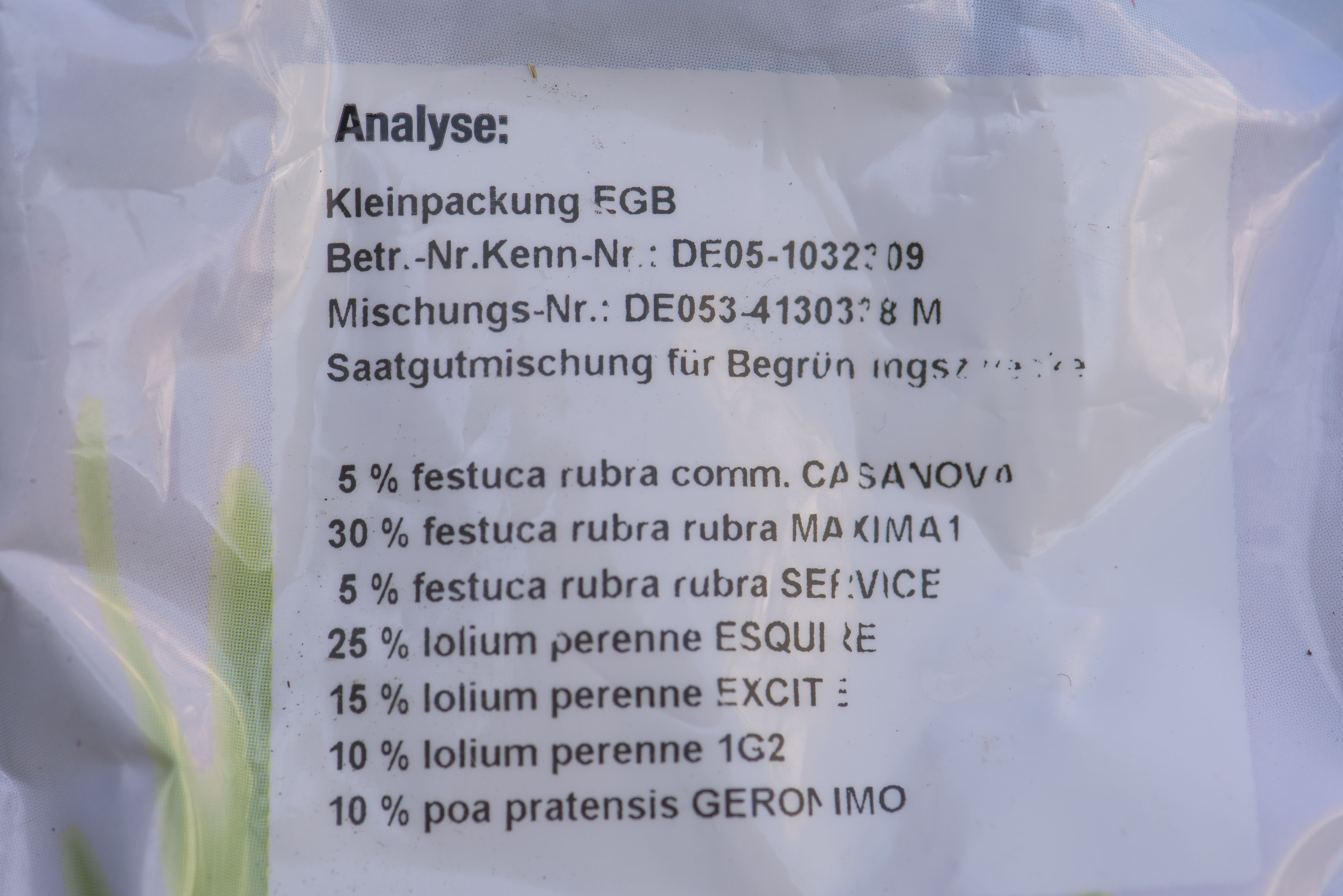 Welcher Rasensamen ist der richtige? Ratgeber OBI