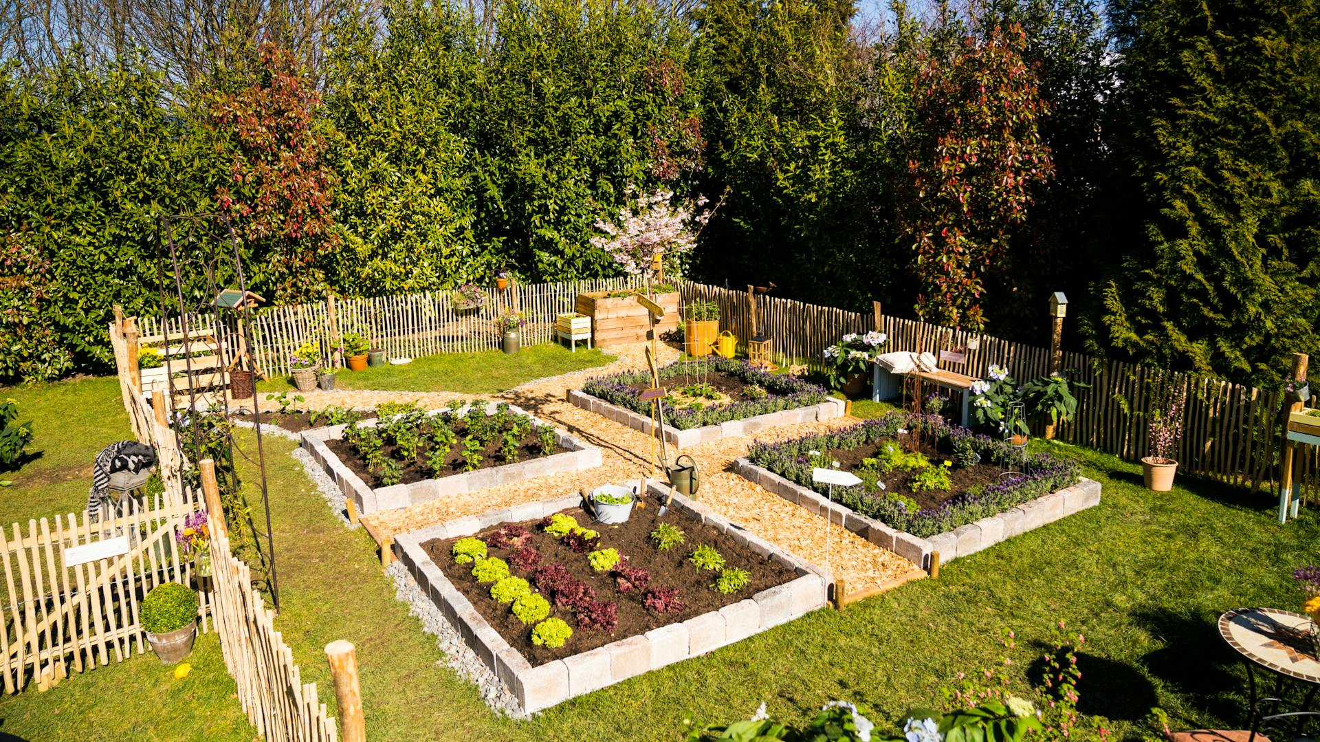 Bekerített haszonkert gyümölcs- és zöldségágyásokkal, magaságyással, burgonyaültető toronnyal és cseresznyefával.