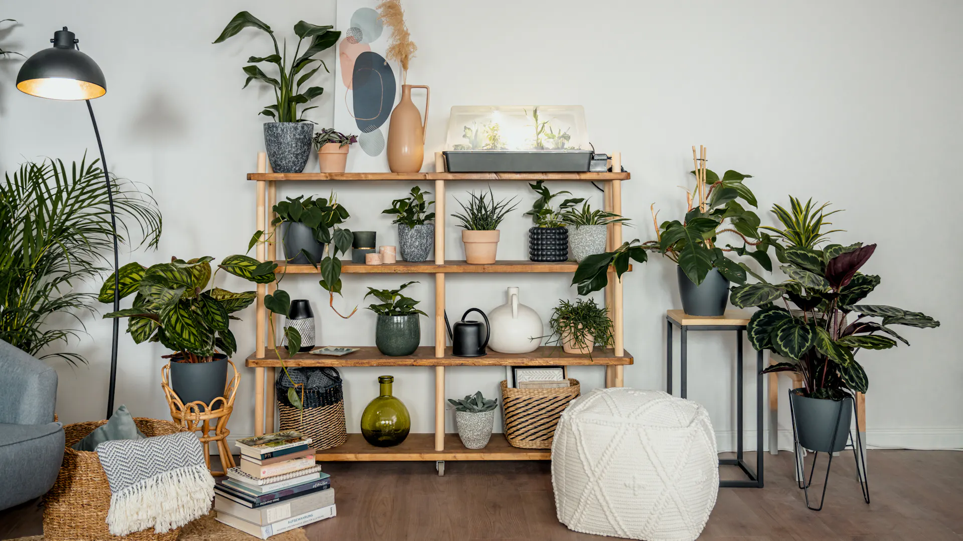 Indoor Jungle mit vielen verschiedenen Zimmerpflanzen