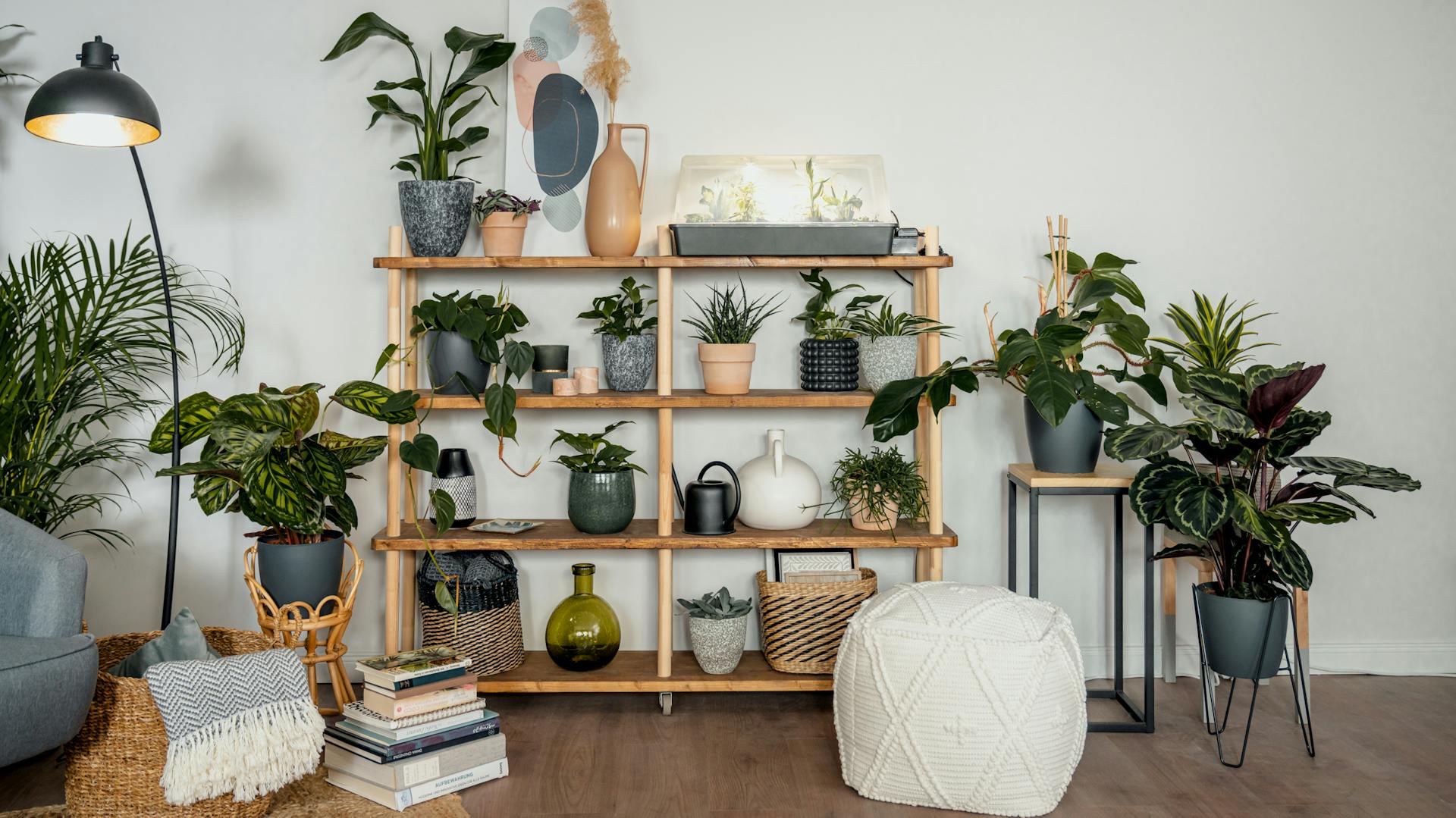 Indoor Jungle mit vielen verschiedenen Zimmerpflanzen