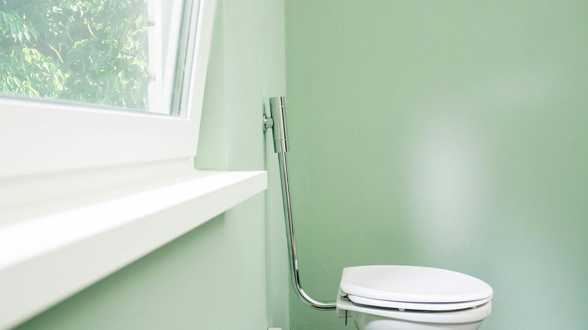 Druckspüler eines WC.