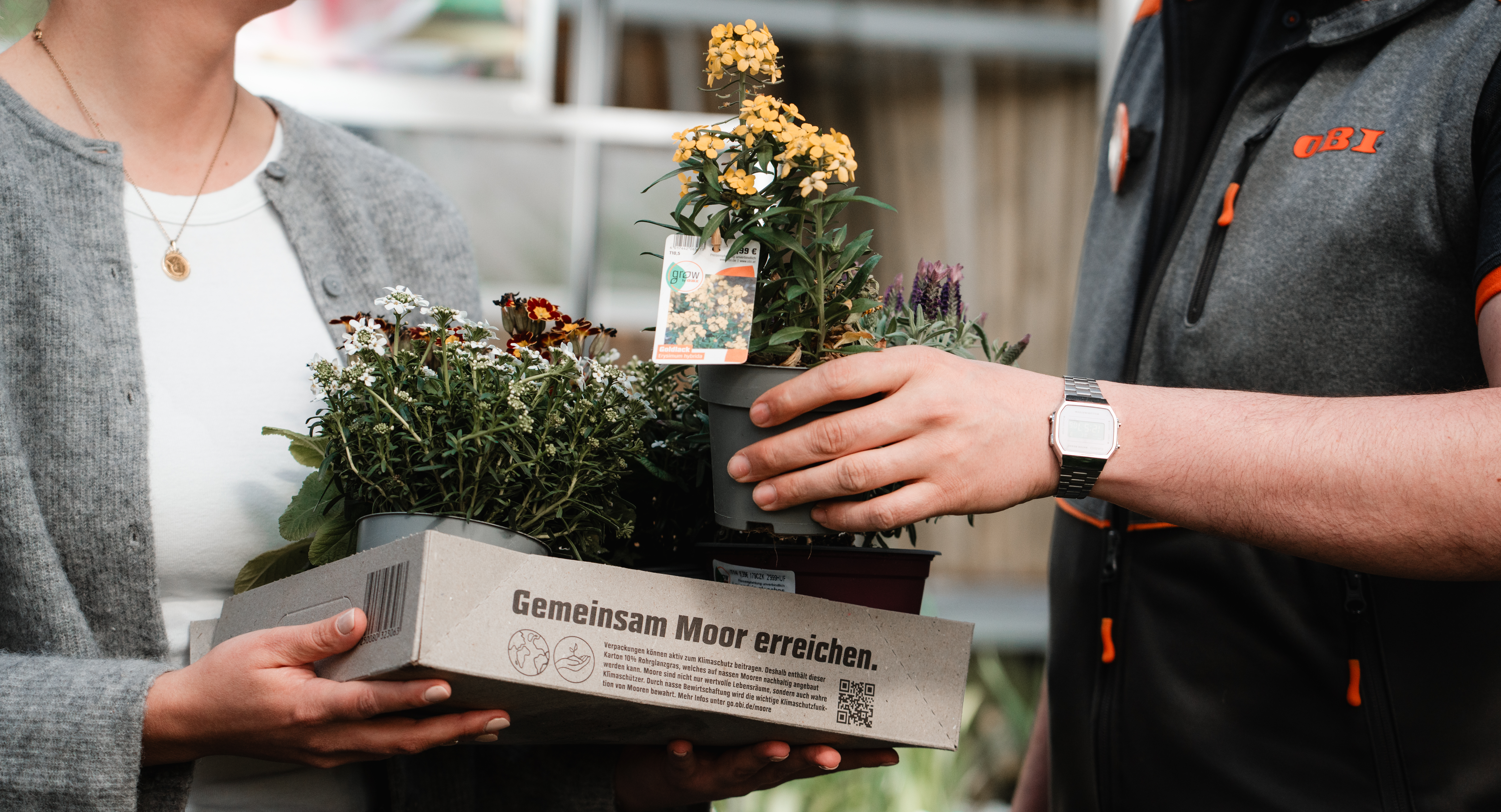 Paludi Karton wird im OBI Markt mit Pflanzen befüllt