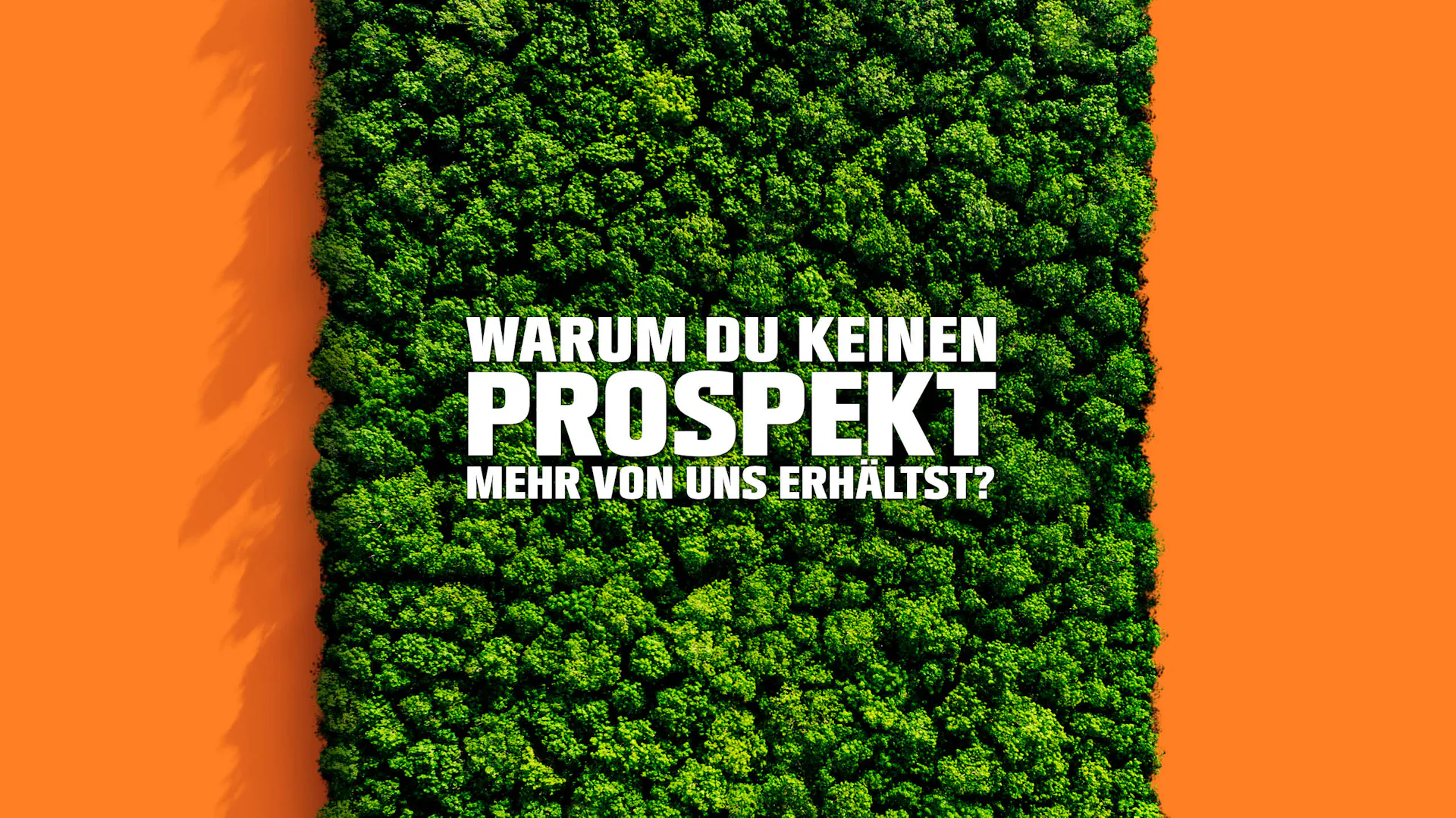 Visual zum Austritt aus der Papierbeilage