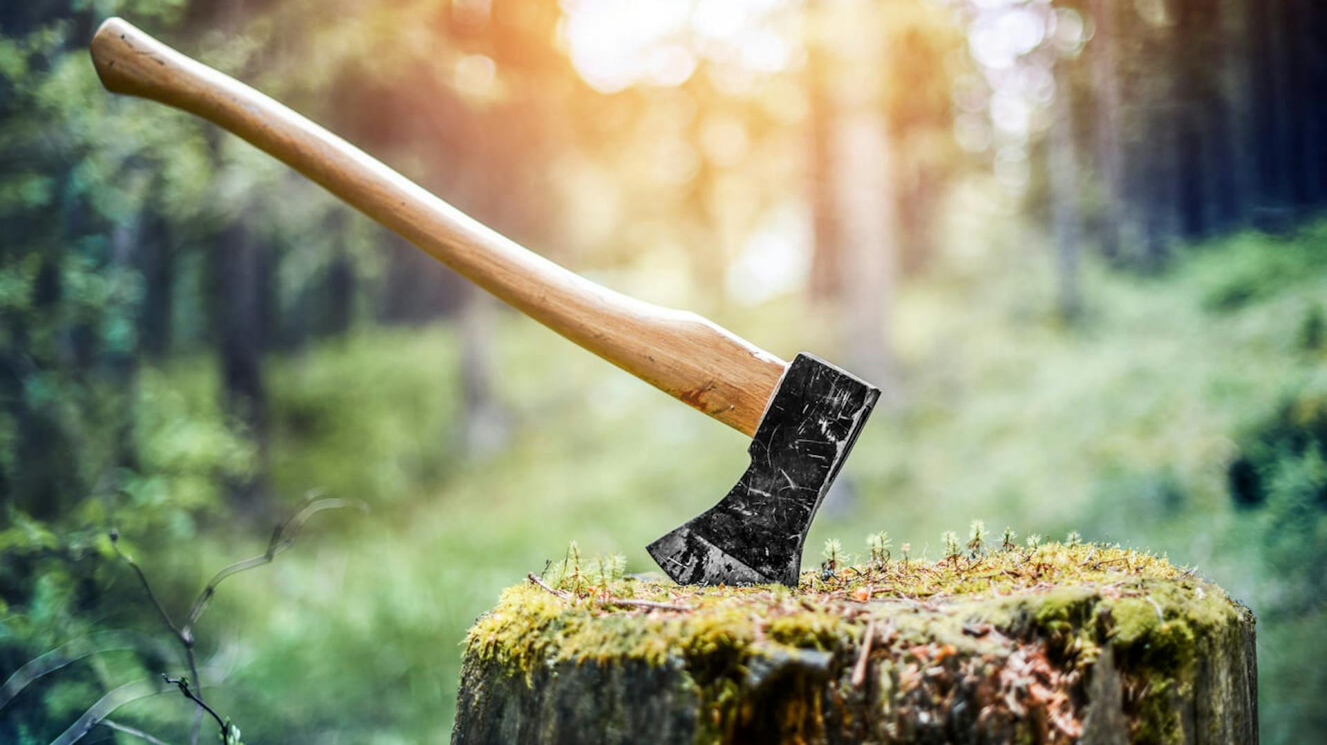 Obróbka drewna siekierą.