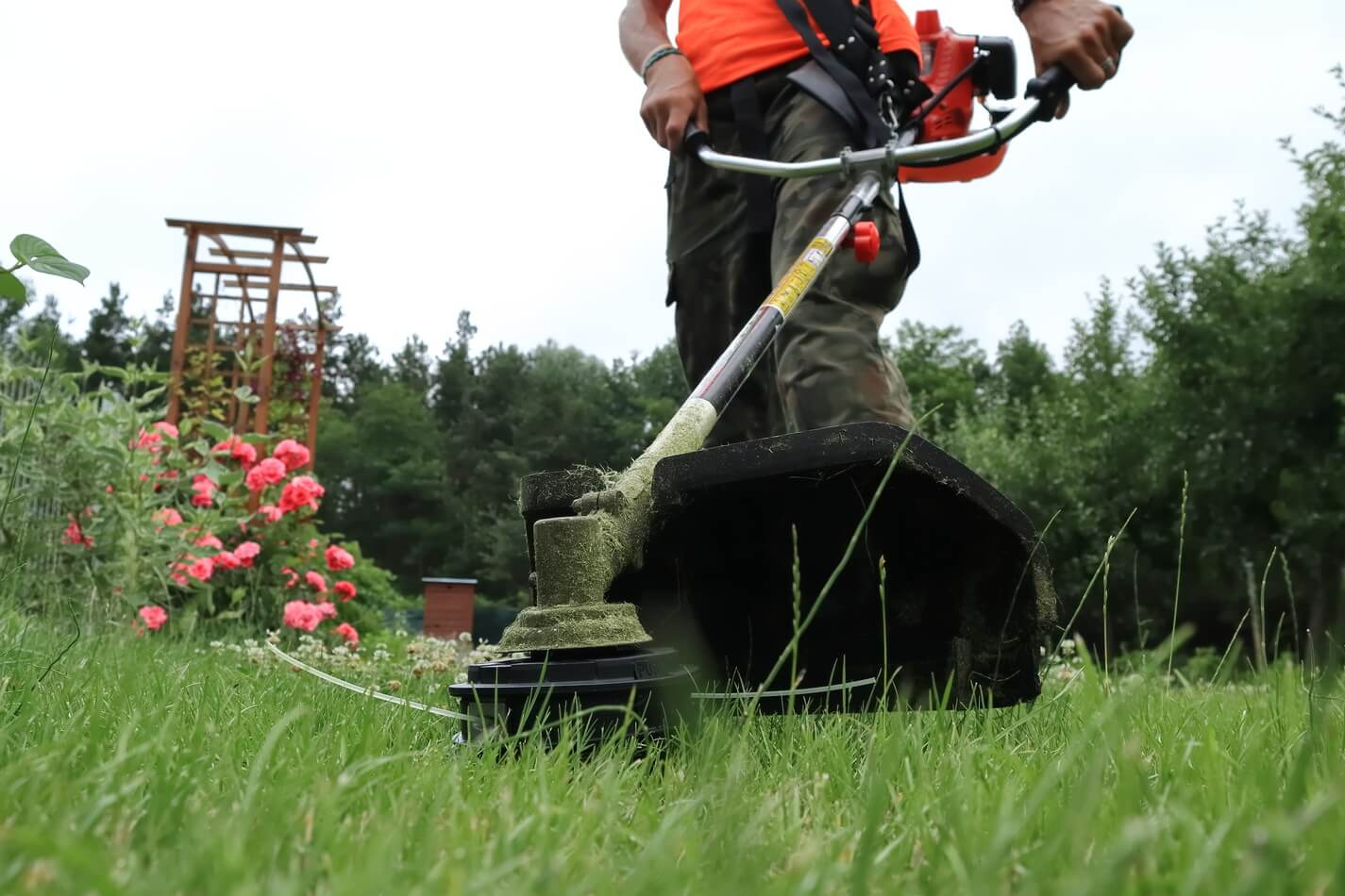 Kosa spalinowa z żyłką służy do podkaszania niskiej trawy