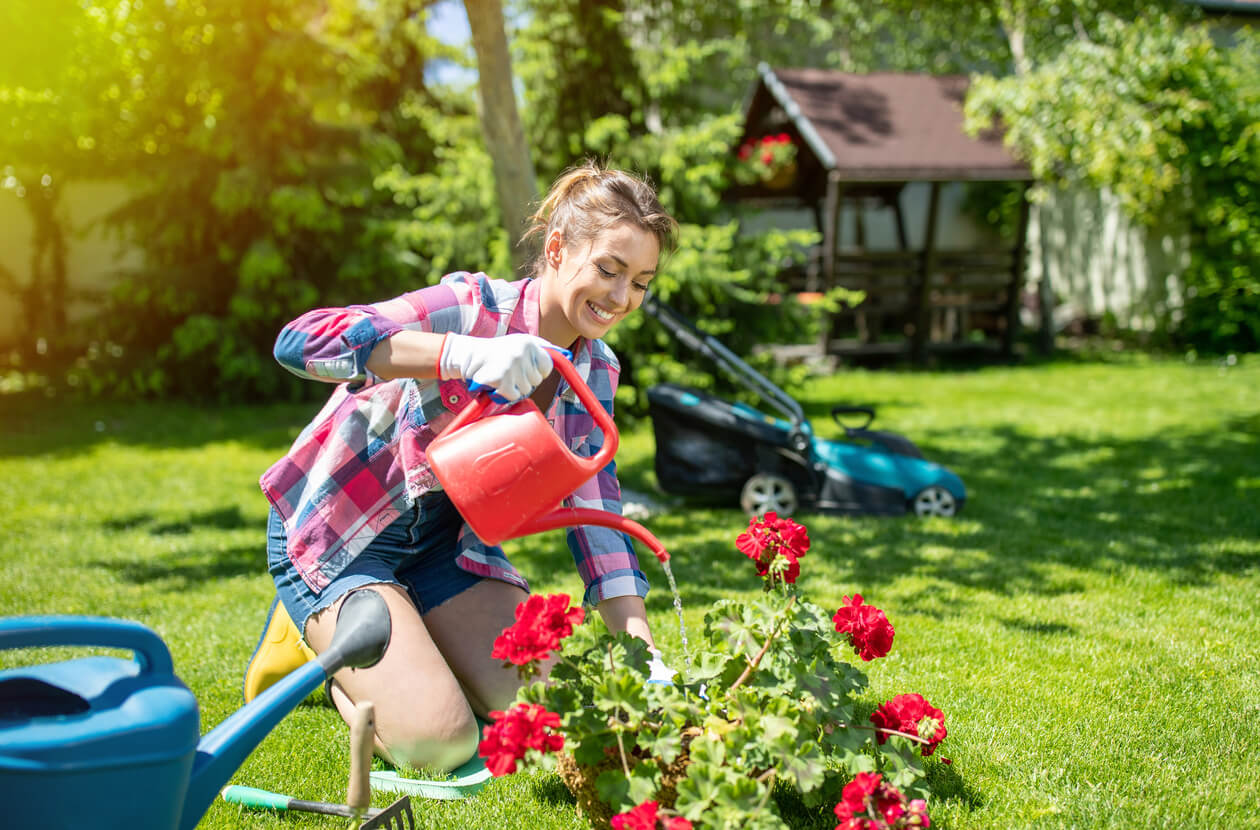 Uśmiechnięta kobieta podlewa pelargonię.