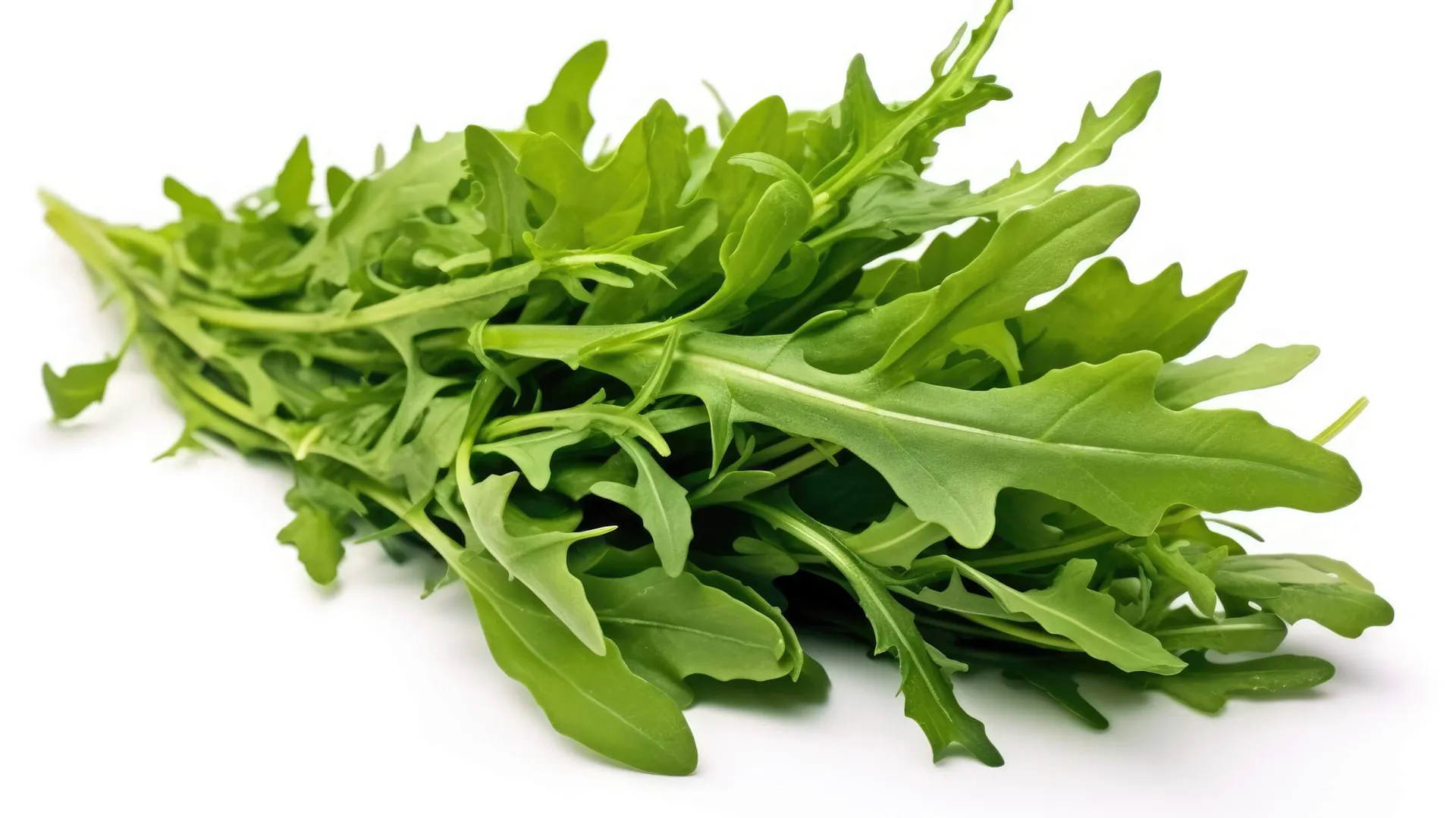 Rukola – uprawa, właściwości i zastosowanie | Poradnik OBI