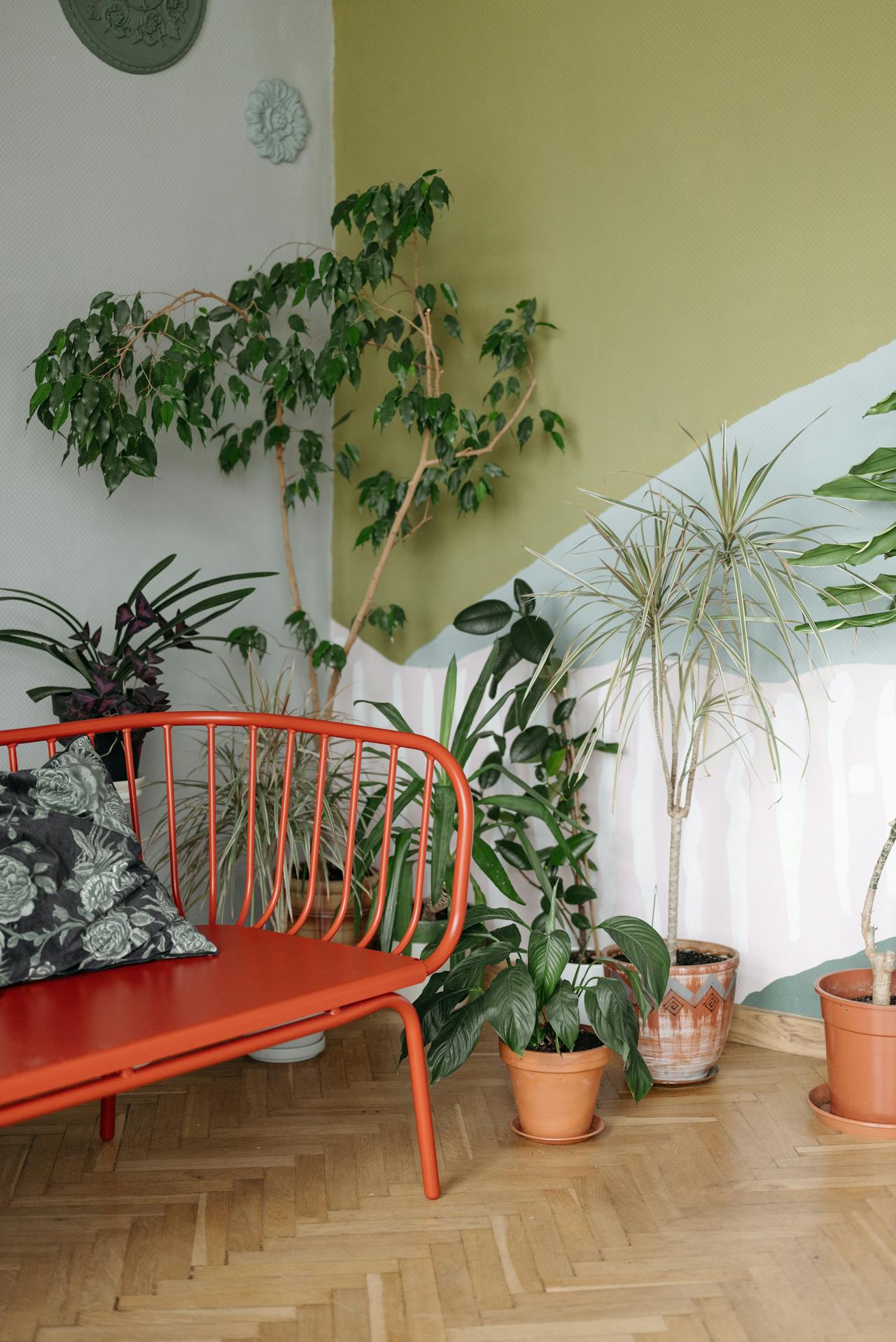 Dracena pośród innych kwiatów