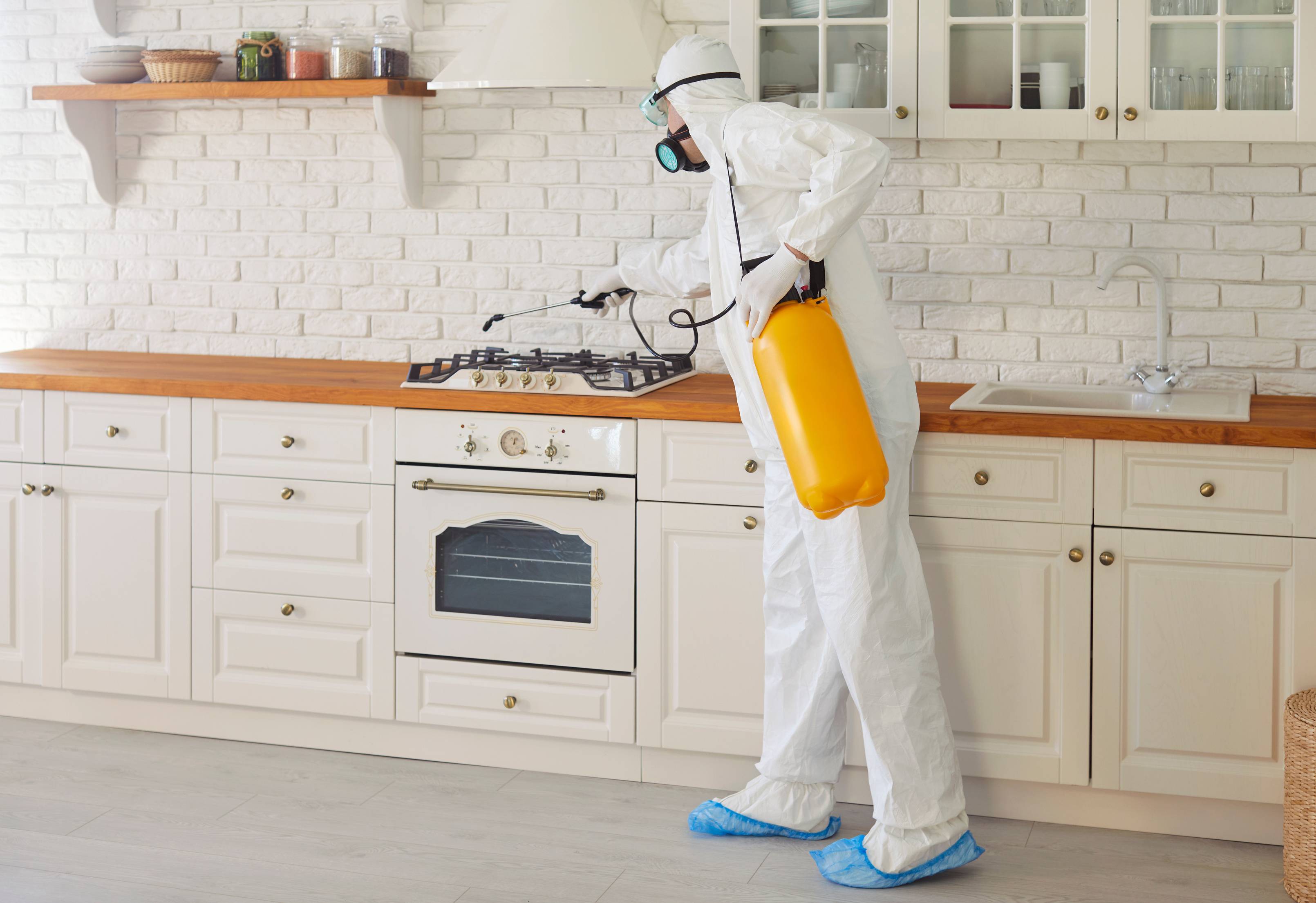Mężczyzna z opryskiwaczem likwiduje mrówki w kuchni