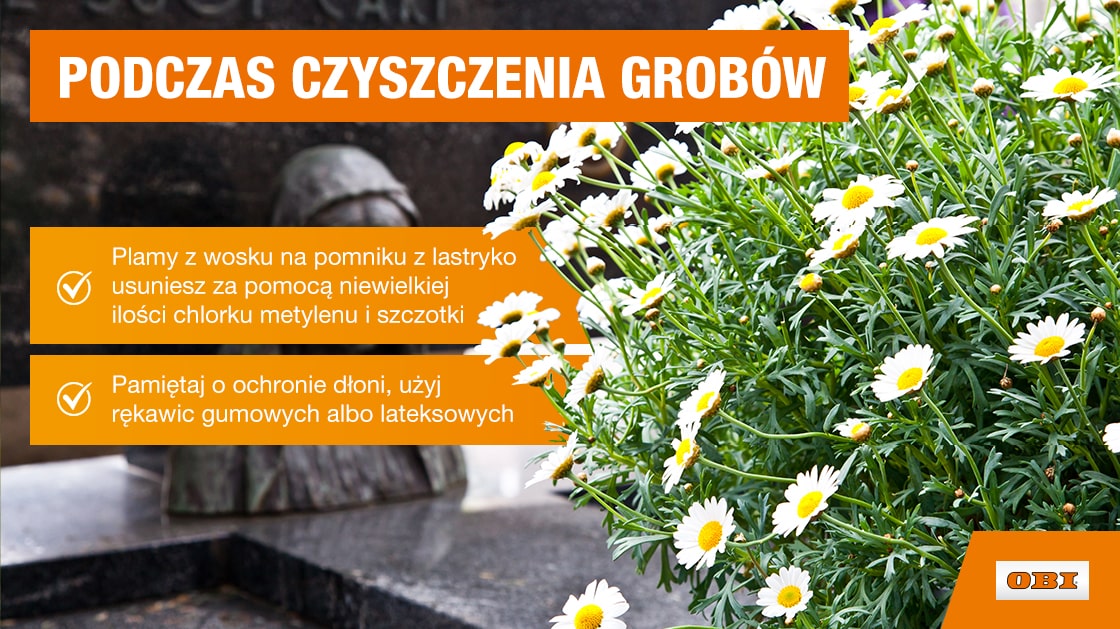 Infografika o czyszczeniu grobów