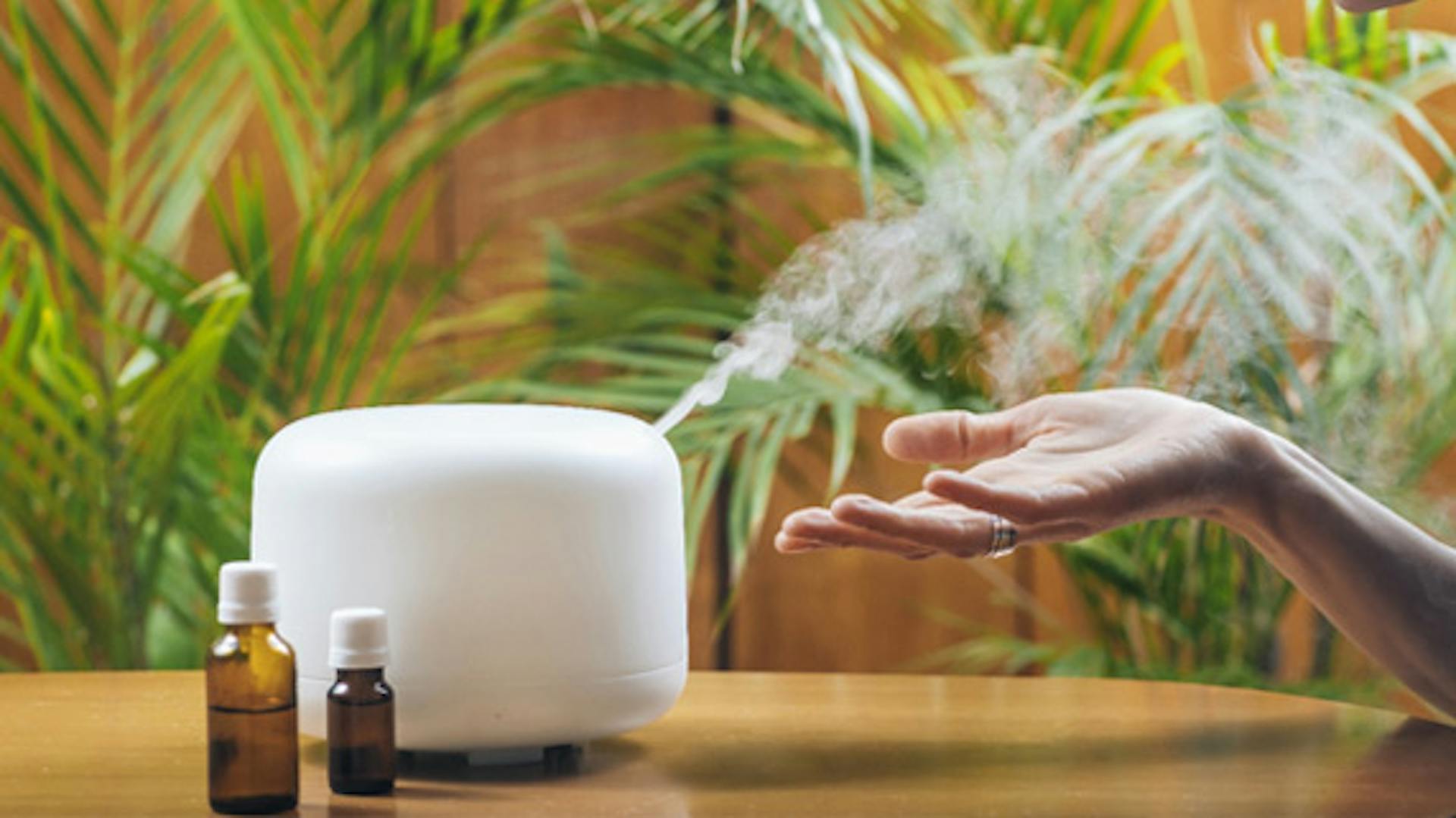 rodzaje nawilżaczy powietrza