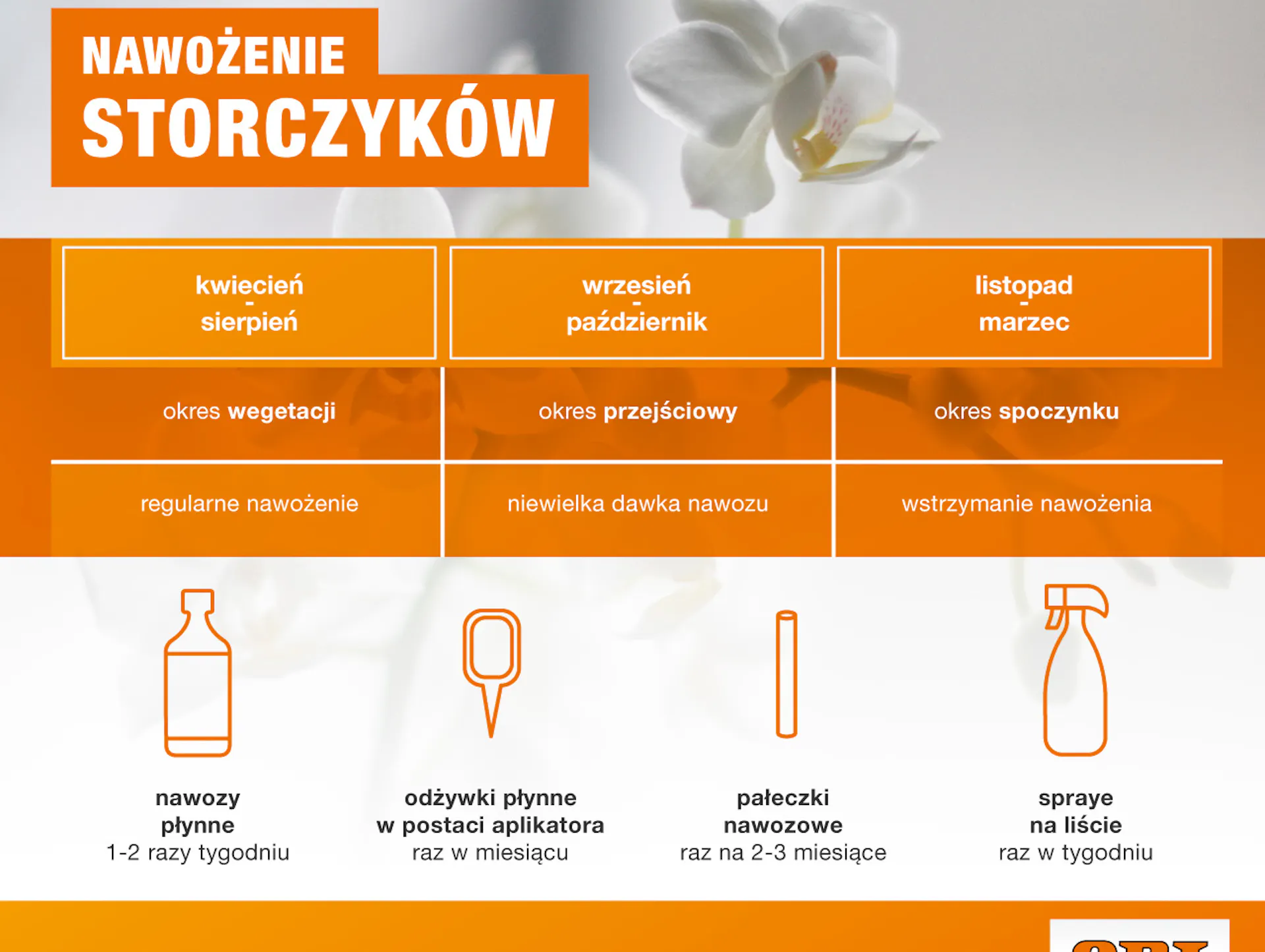 jak i kiedy podlewać storczyki - OBI