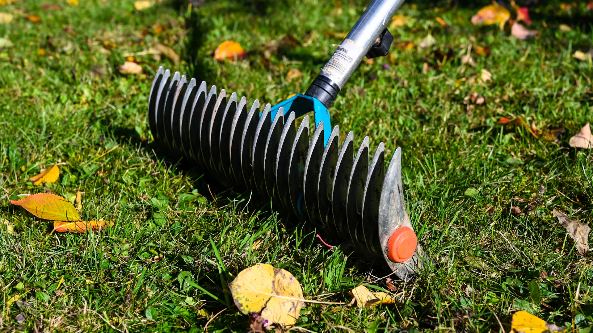 Jak wykorzystać wertykulator