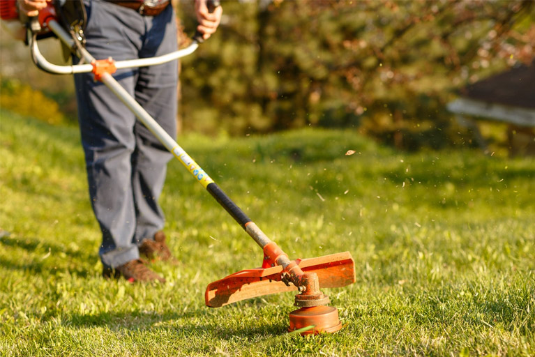 najlepsza podkaszarka - jak wybrać?