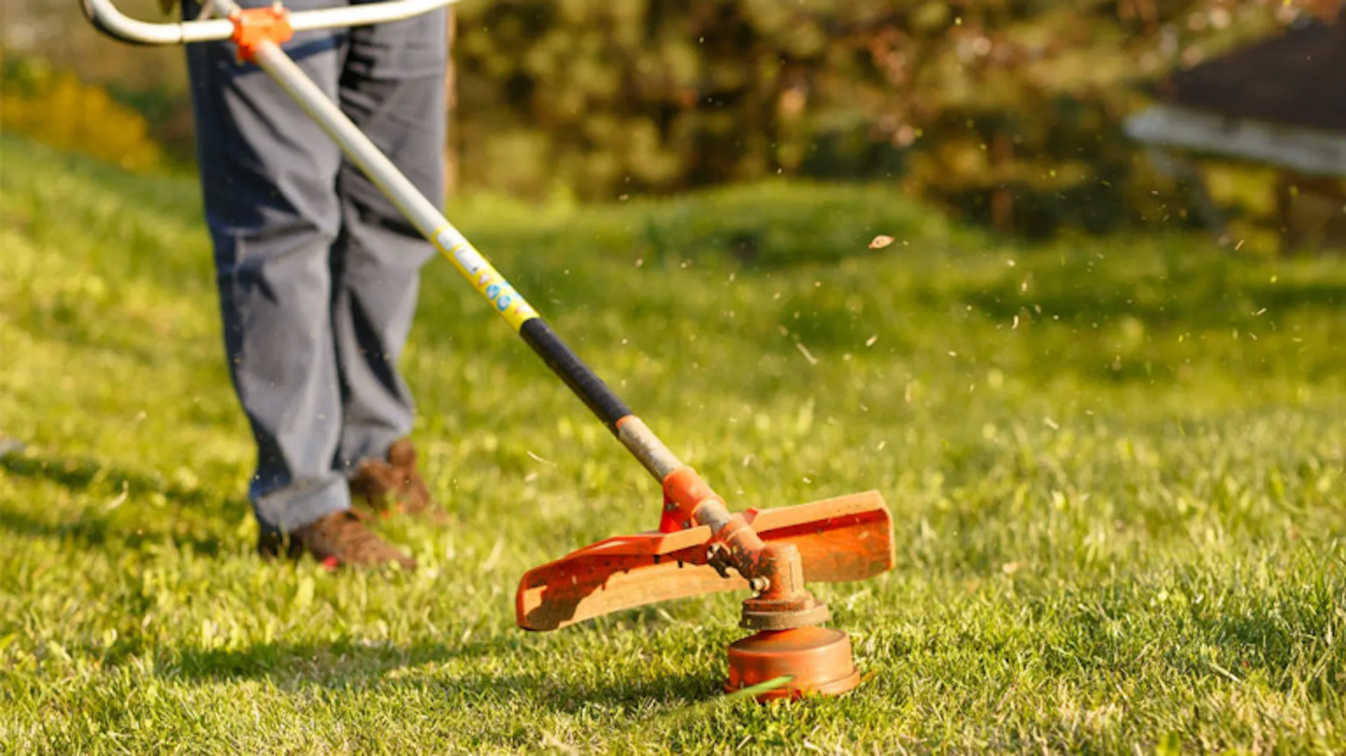 najlepsza podkaszarka - jak wybrać?