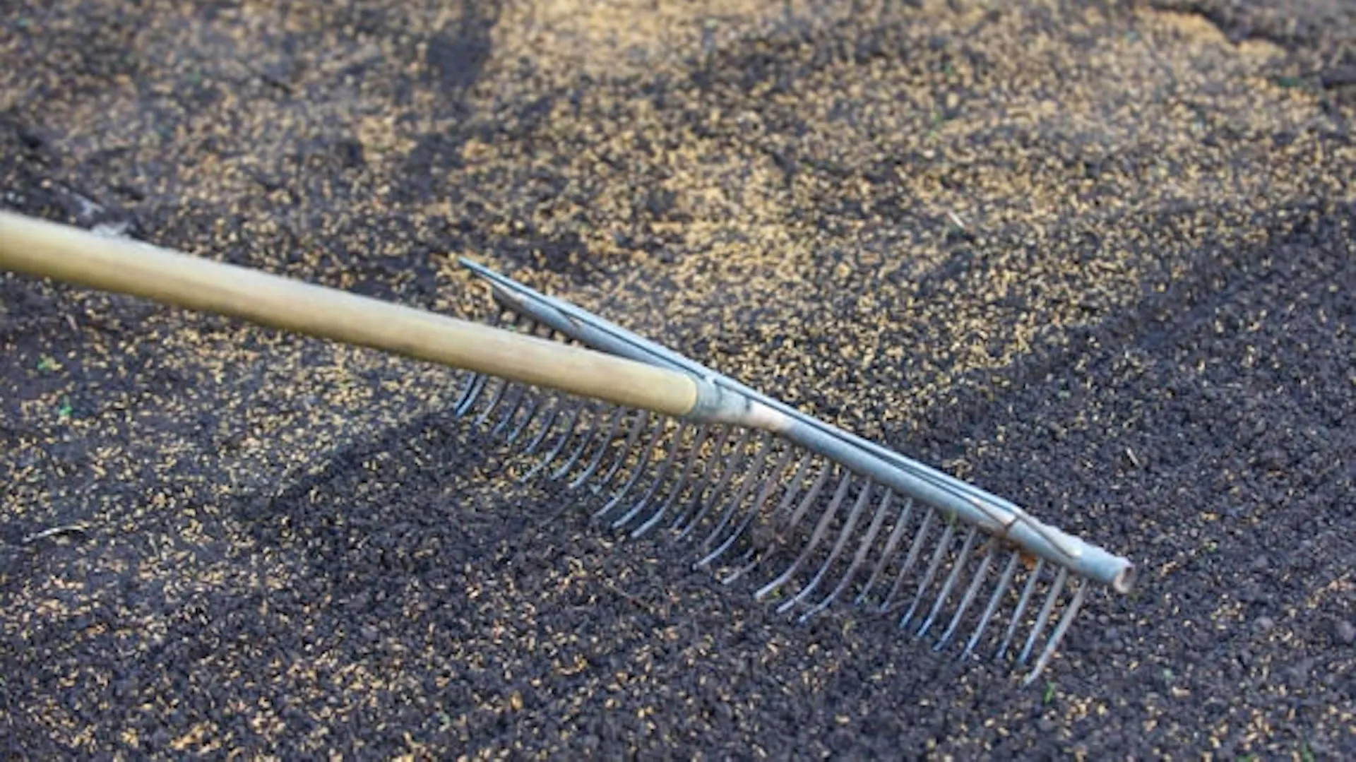 Grabie metalowe z ostrymi zębami służą do wyrównywania podłoża pod trawnik