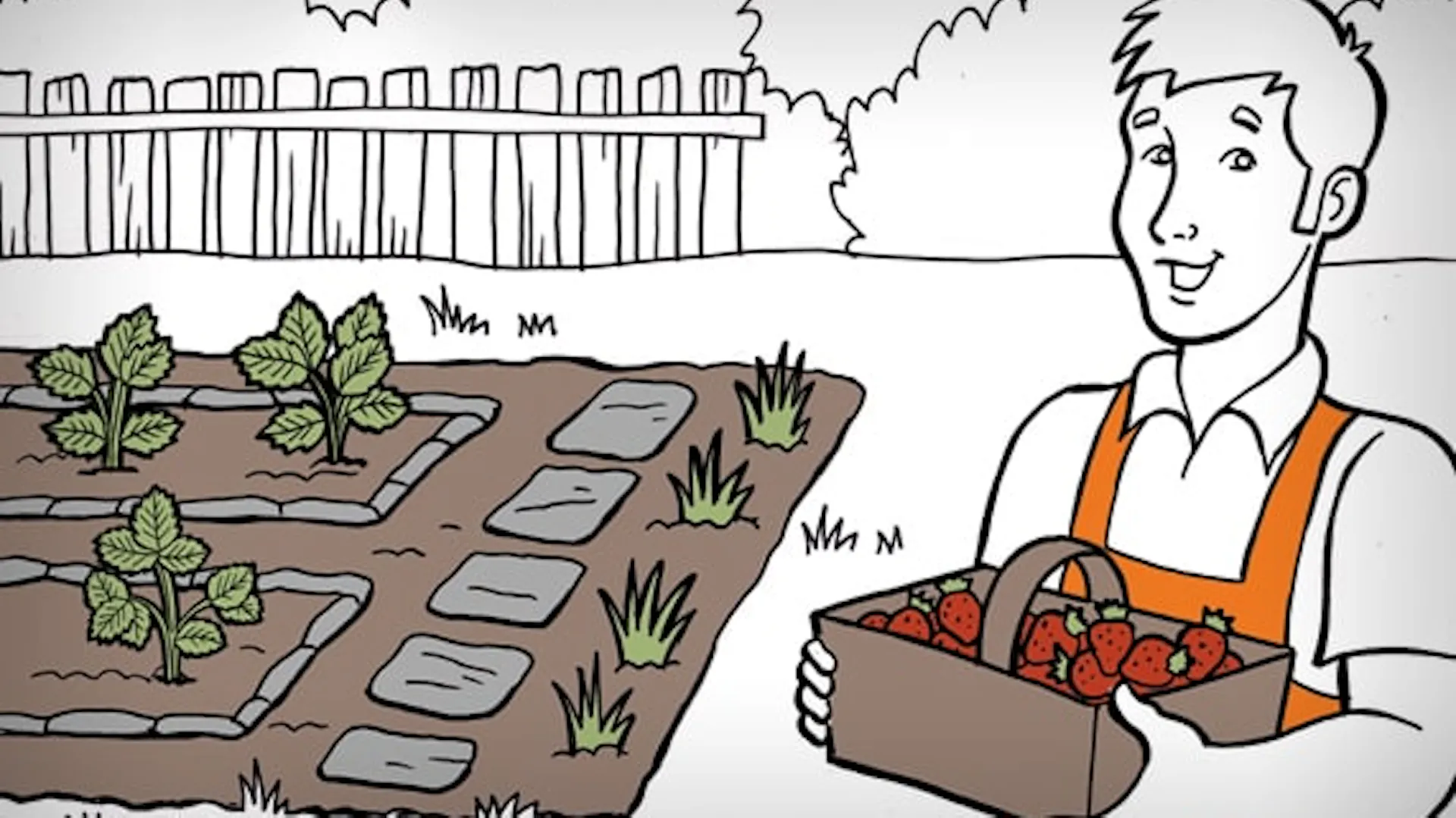 Grafika z mężczyzną, którego cieszą zbiory truskawek.