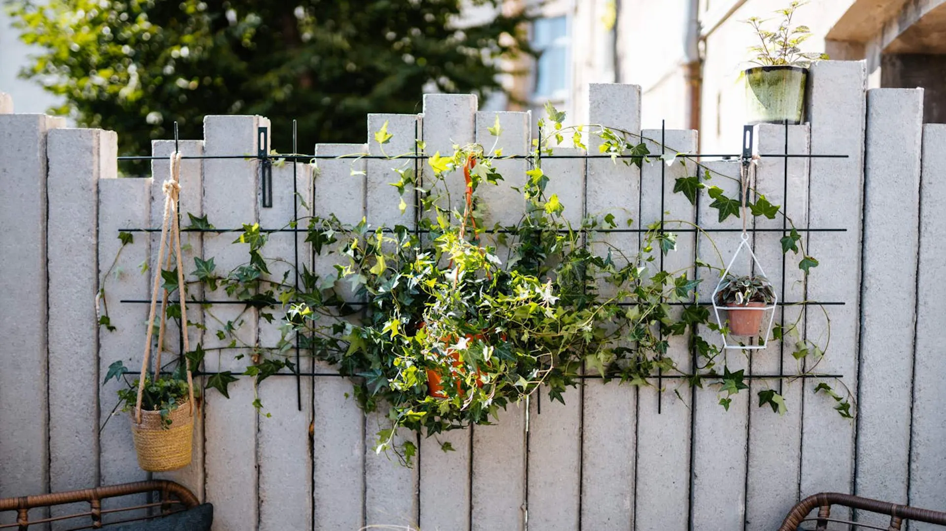 Mur ogrodowy upiększony roślinami