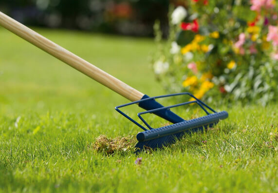 Jak zasiać i pielęgnować trawę w ogrodzie? | OBI