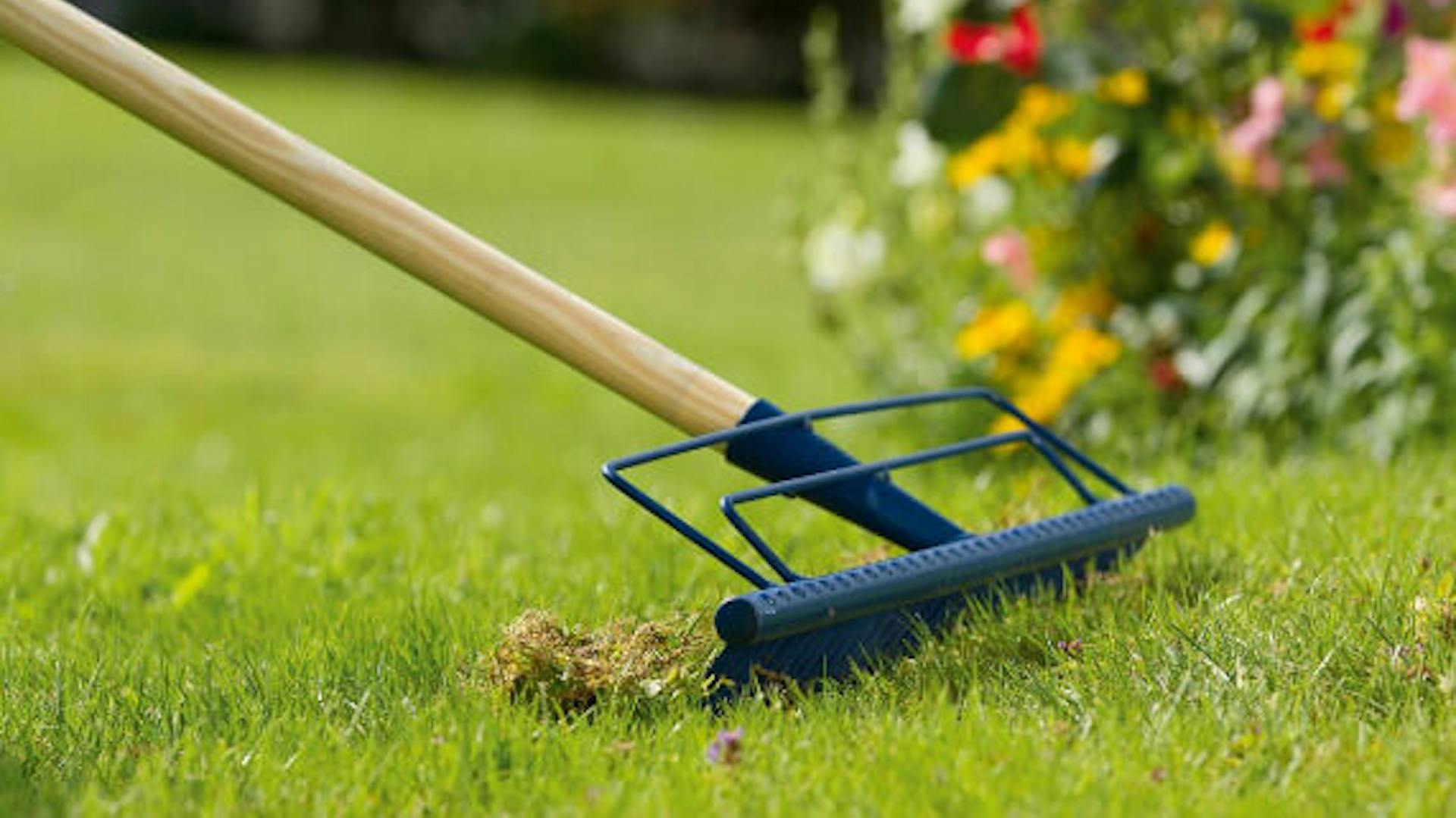 Jak zasiać i pielęgnować trawę w ogrodzie? | OBI