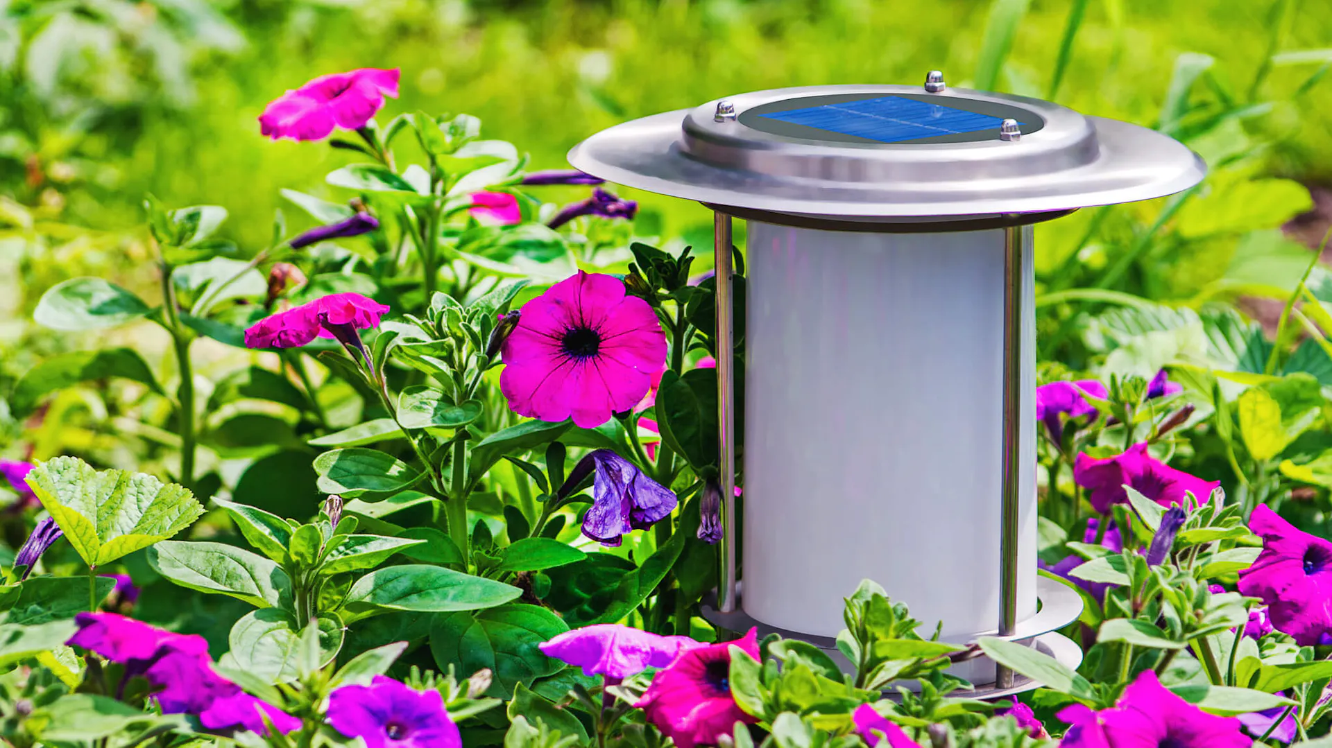 Nowoczesna lampa solarna ustawiona wśród kwiatów