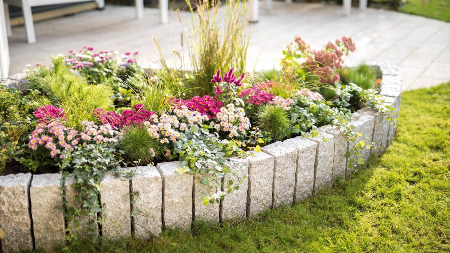 Rabata przed domem z palisadą i różowymi kwiatami