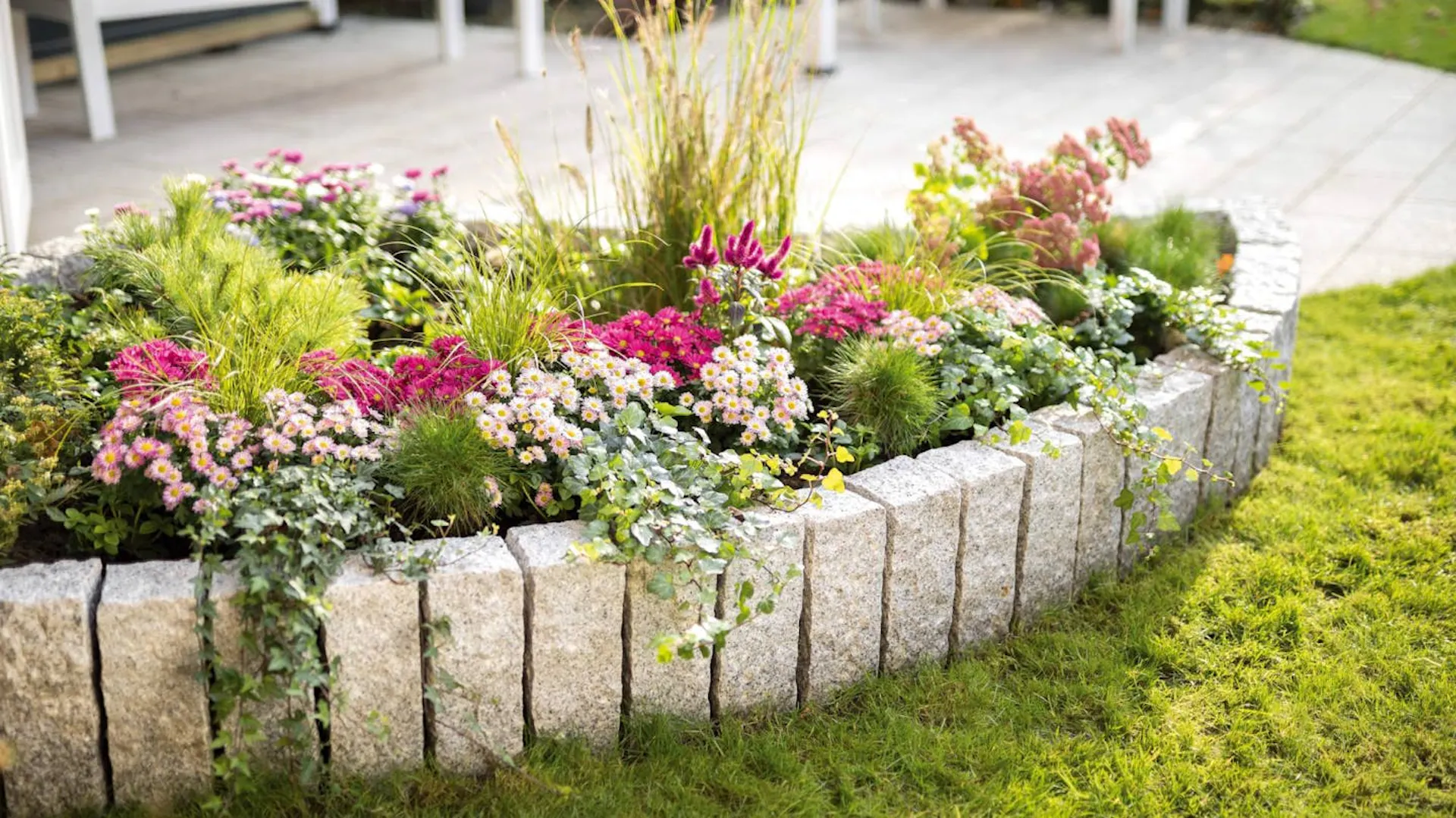 Rabata przed domem z palisadą i różowymi kwiatami