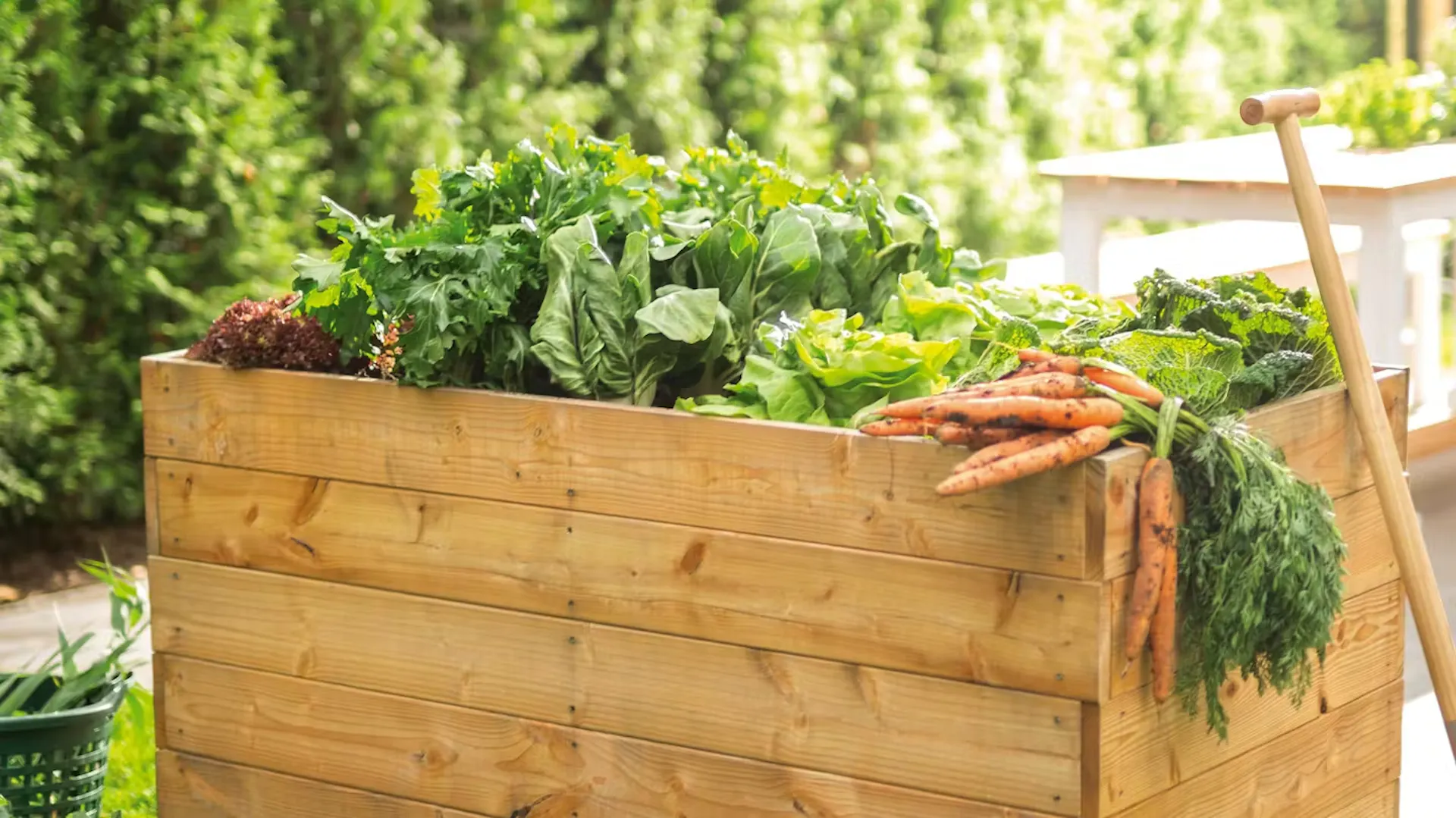 Drewniana grządka z warzywami