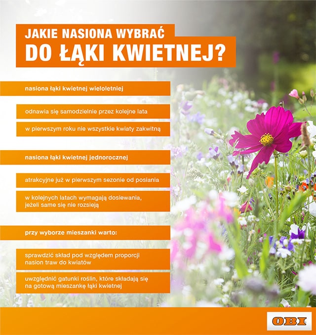 Jakie nasiona wybrać do łąki kwietnej? - infografika.