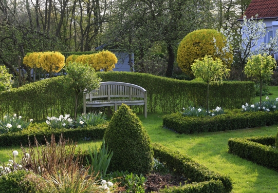 Ogród z wysokimi i niskimi żywopłotami.