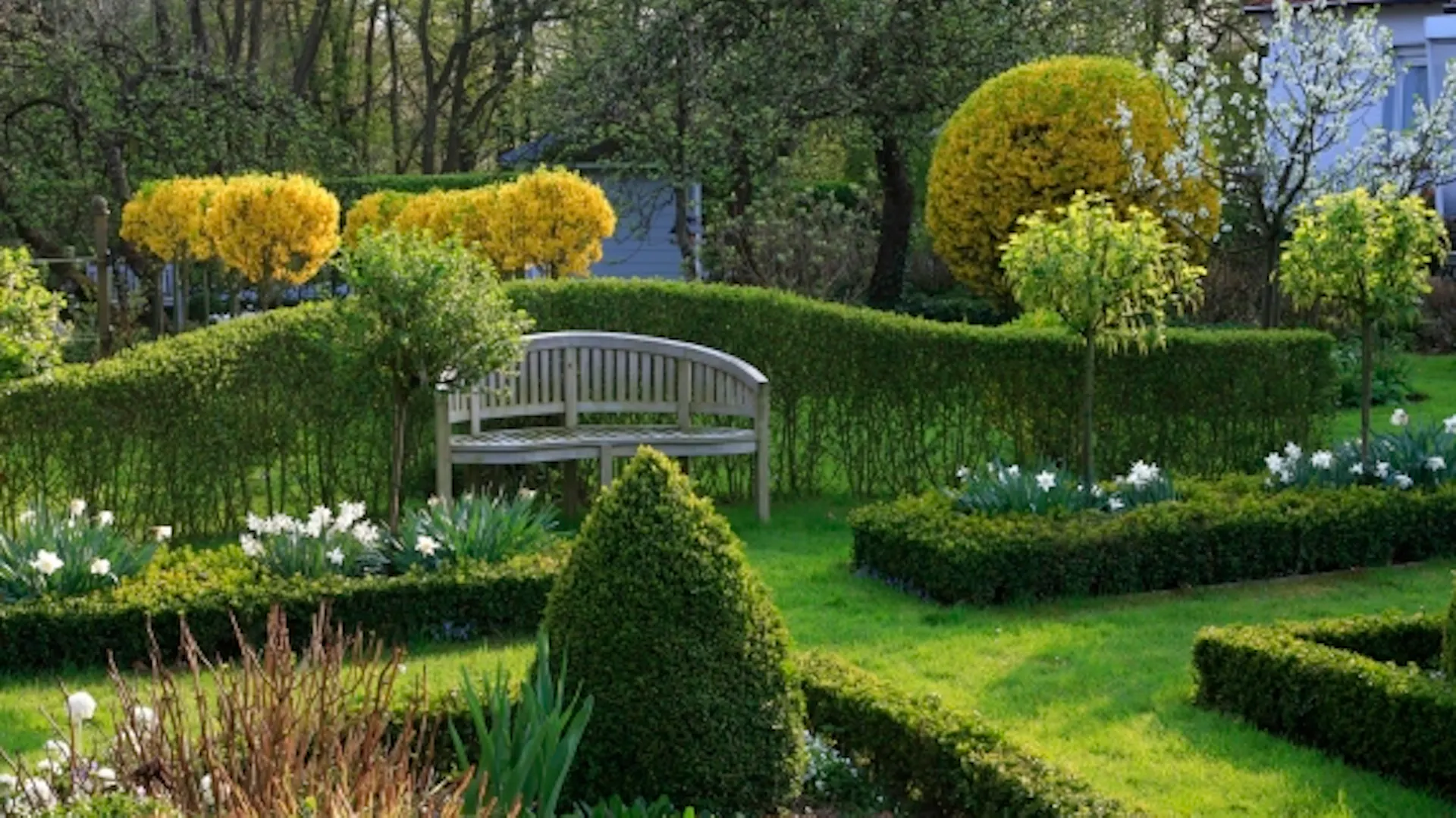 Ogród z wysokimi i niskimi żywopłotami.