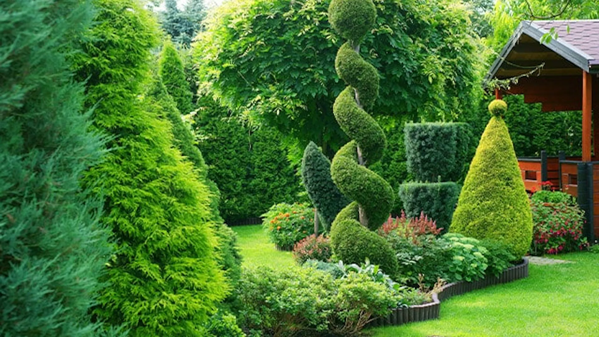 Ogród z ozdobnie uformowanymi krzewami tui.