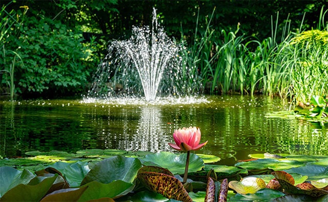 Fontanna na środku oczka wodnego.