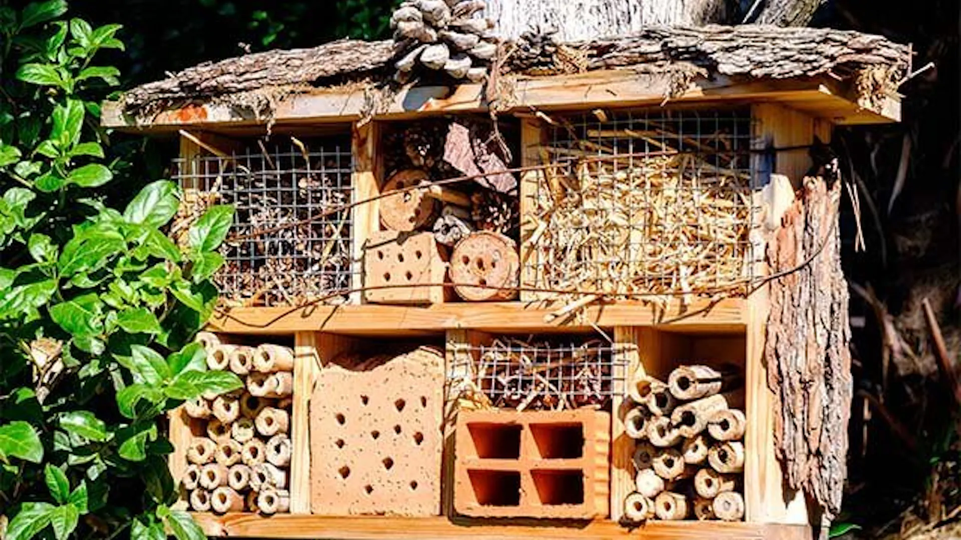 Duży domek dla owadów z 7 przegrodami, obity z zewnątrz korą.