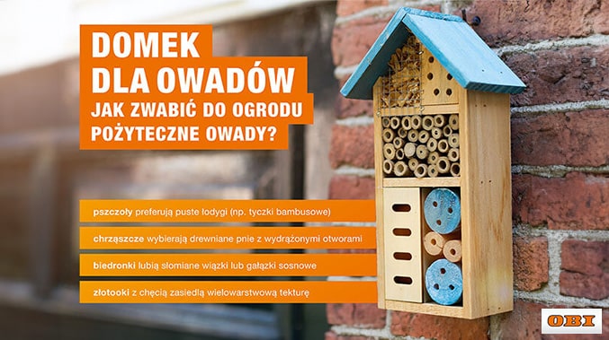 Infografika o preferencjach owadów pod kątem schronienia. W tle domek dla owadów z niebieskim daszkiem na murze. Logo OBI.