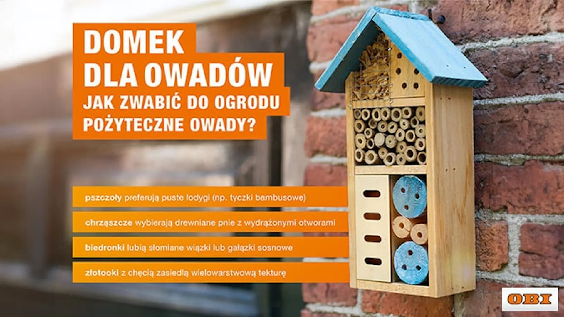 Infografika o preferencjach owadów pod kątem schronienia. W tle domek dla owadów z niebieskim daszkiem na murze. Logo OBI.
