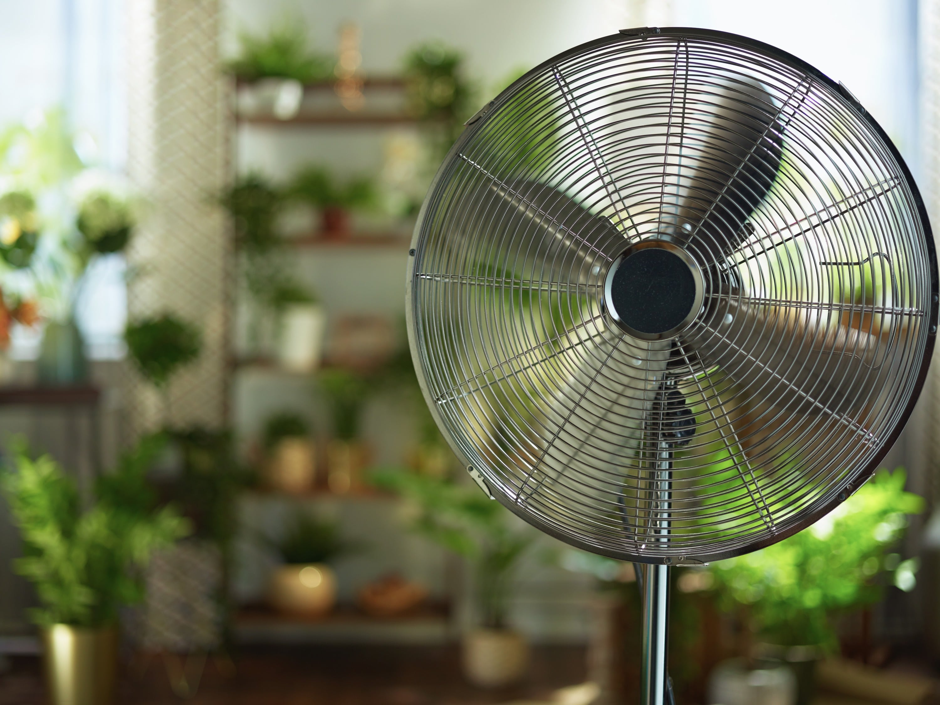 Wentylator jest tani, przynosi ulgę, ale nie obniża temperatury powietrza