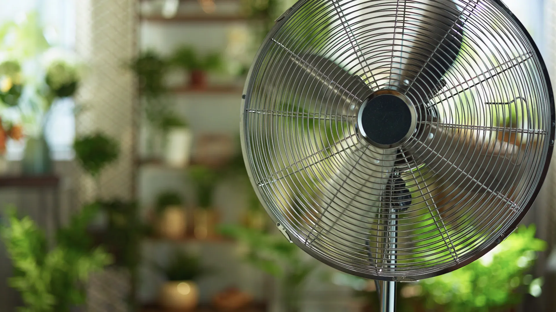 Wentylator jest tani, przynosi ulgę, ale nie obniża temperatury powietrza