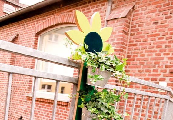 Bluszcz w doniczkach na kwietniku zawieszonym na balustradzie