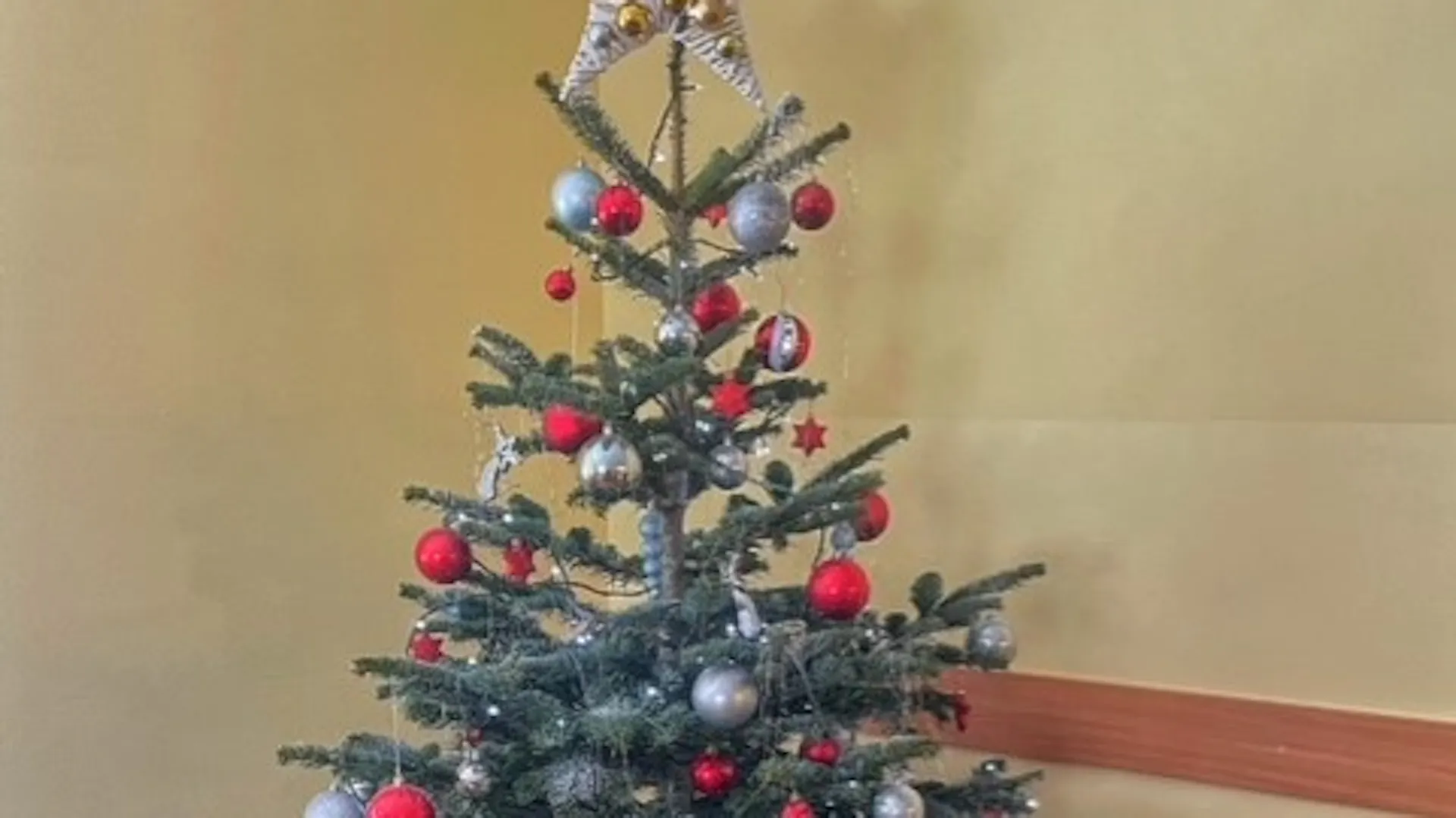 VÁNOCE S OBI