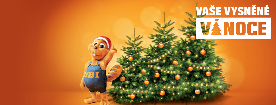 VAŠE VYSNĚNÉ VÁNOCE. S vánočním stromkem z OBI!
