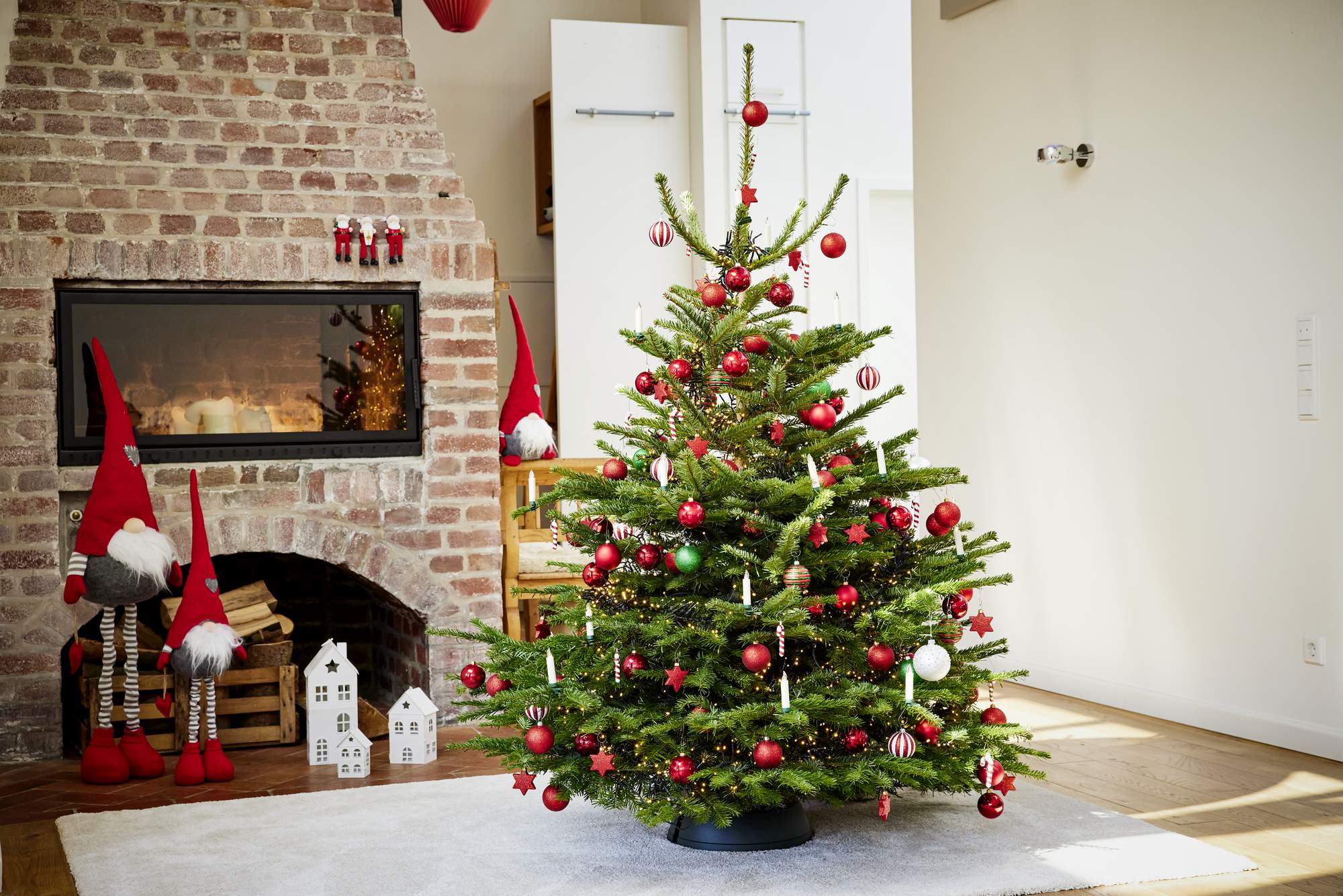 Vše co potřebujete vědět k Vánočnímu stromku