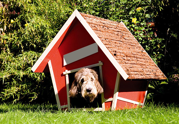 Červená psí bouda v zahradě v které leží pes