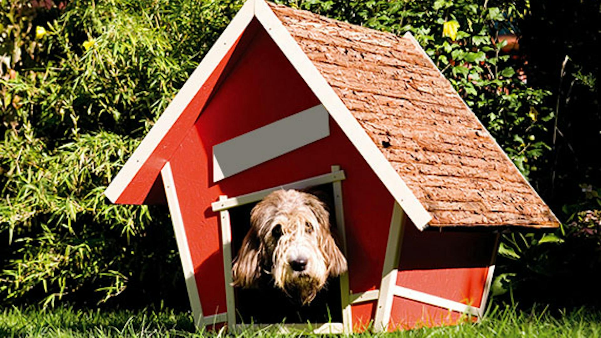 Červená psí bouda v zahradě v které leží pes