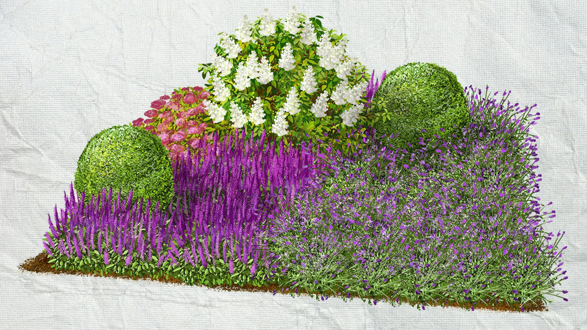 Előkert ötletek ház elé ültetett növényekkel