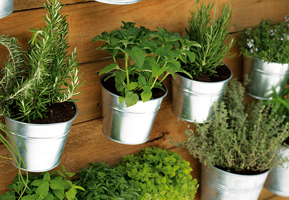 Elkészült fűszernövénytartó fal