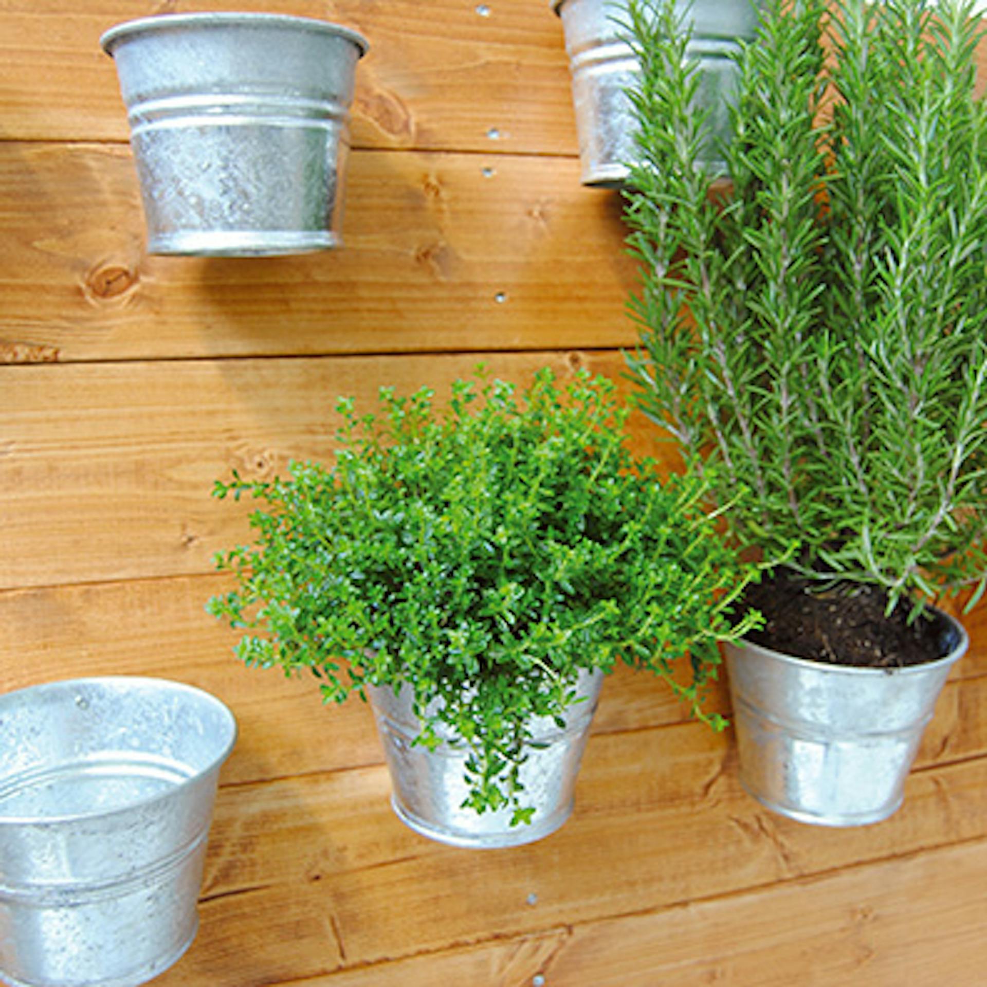 Kaspók beültetése