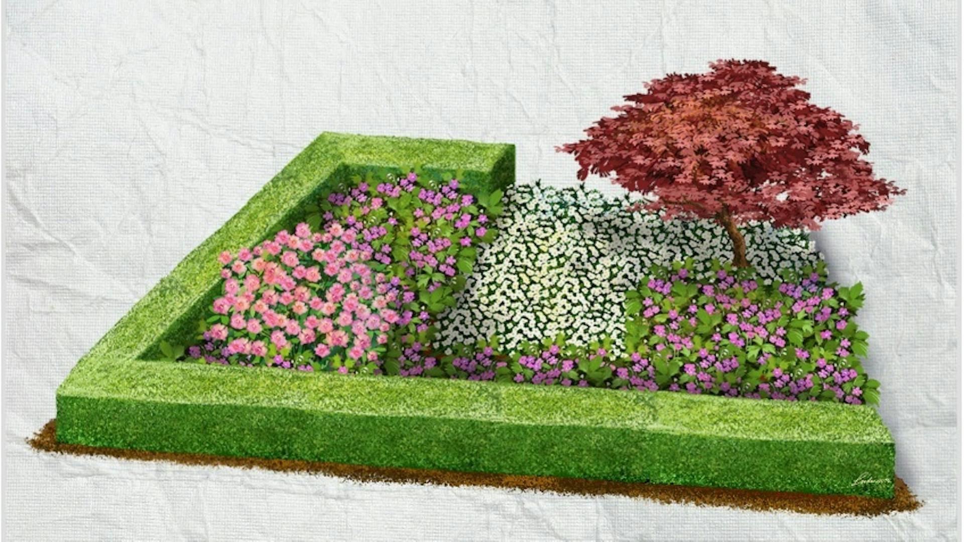 Japán juhar előkertben