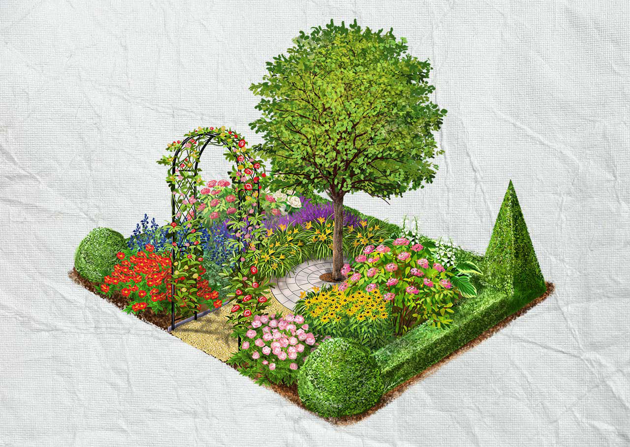 Parasztkert növényei grafikán.