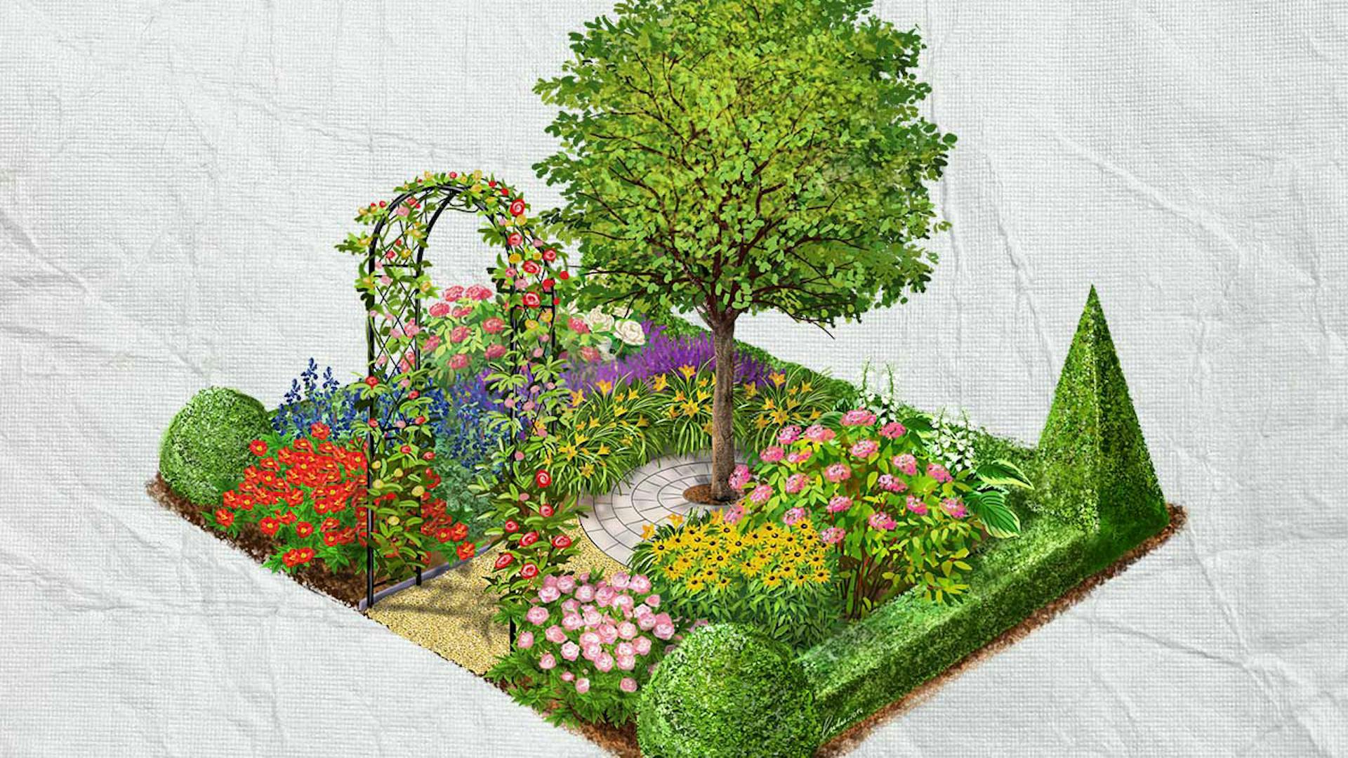 Parasztkert növényei grafikán.